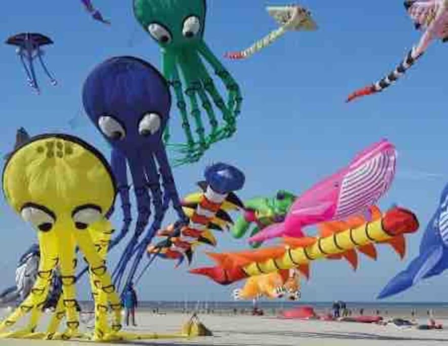 Escapade Berckoise, Berck Plage Exterior foto