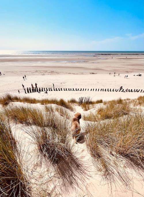 Escapade Berckoise, Berck Plage Exterior foto